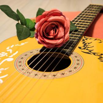 Kytara a červená růže